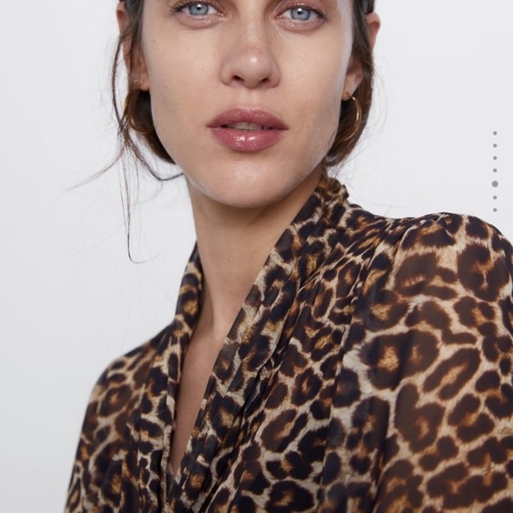 NWT Spring Summer Zara animal print dress size S - Picture 5 of 16